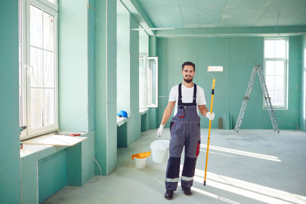 Best Black Mold Removal  in Tipton, MO