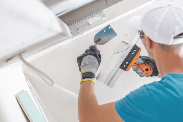 Best Mold Damage Restoration  in Tipton, MO